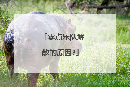 零点乐队解散的原因?