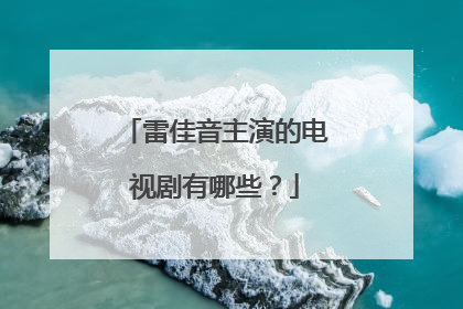 雷佳音主演的电视剧有哪些?
