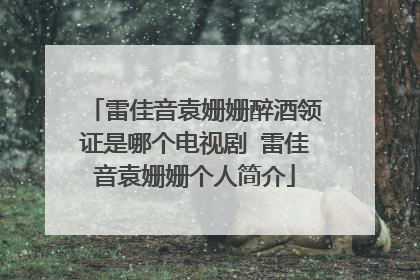 雷佳音袁姗姗醉酒领证是哪个电视剧 雷佳音袁姗姗个人简介