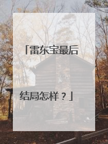 雷东宝最后结局怎样？