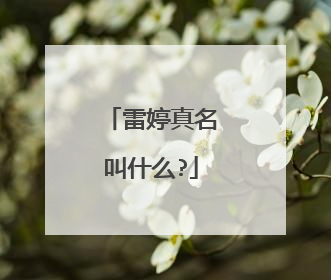 雷婷真名叫什么?