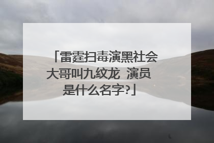 雷霆扫毒演黑社会大哥叫九纹龙 演员是什么名字?