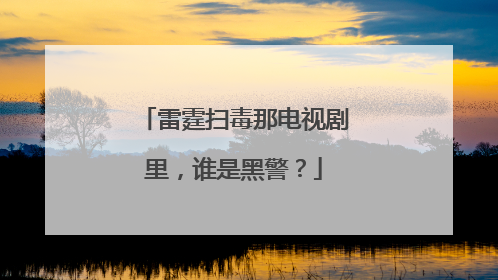 雷霆扫毒那电视剧里,谁是黑警?