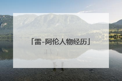 雷-阿伦人物经历