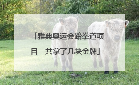 雅典奥运会跆拳道项目一共拿了几块金牌