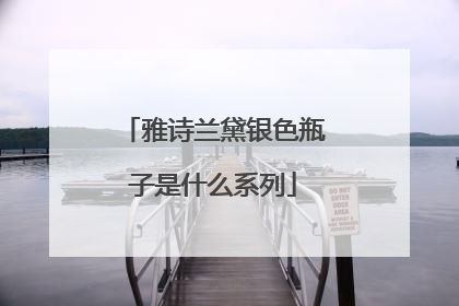 雅诗兰黛银色瓶子是什么系列