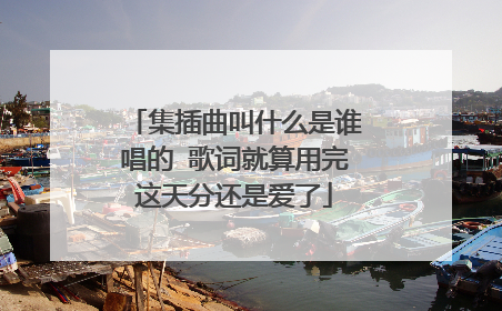 集插曲叫什么是谁唱的 歌词就算用完这天分还是爱了