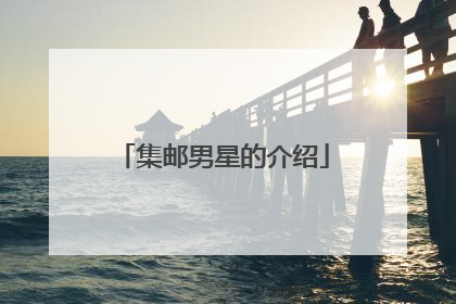 集邮男星的介绍