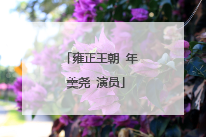 雍正王朝 年羹尧 演员