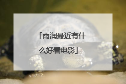 雨润最近有什么好看电影