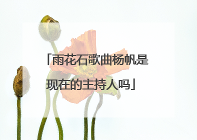 雨花石歌曲杨帆是现在的主持人吗