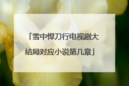 雪中悍刀行电视剧大结局对应小说第几章