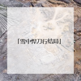 雪中悍刀行结局