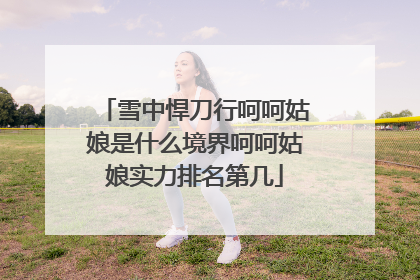 雪中悍刀行呵呵姑娘是什么境界呵呵姑娘实力排名第几