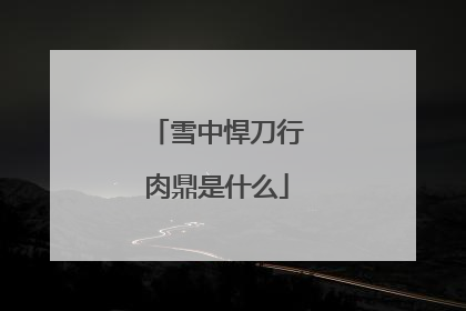 雪中悍刀行肉鼎是什么