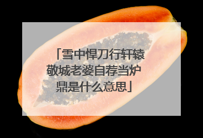 雪中悍刀行轩辕敬城老婆自荐当炉鼎是什么意思