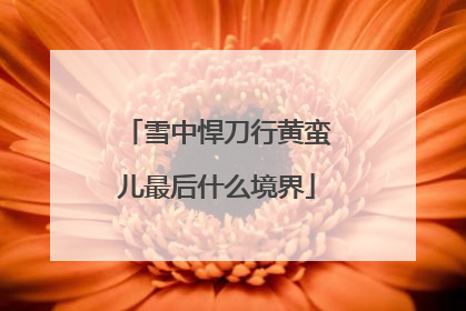 雪中悍刀行黄蛮儿最后什么境界