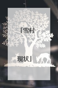 雪村现状