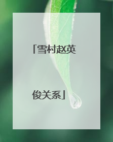 雪村赵英俊关系