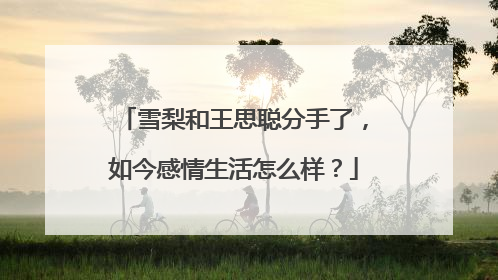 雪梨和王思聪分手了，如今感情生活怎么样？