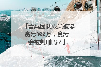 雪梨团队成员被曝贪污300万,贪污会被判刑吗?