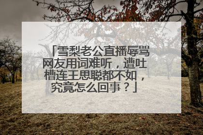 雪梨老公直播辱骂网友用词难听,遭吐槽连王思聪都不如,究竟怎么回事?