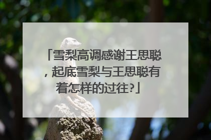 雪梨高调感谢王思聪，起底雪梨与王思聪有着怎样的过往?