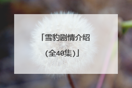 雪豹剧情介绍(全40集)