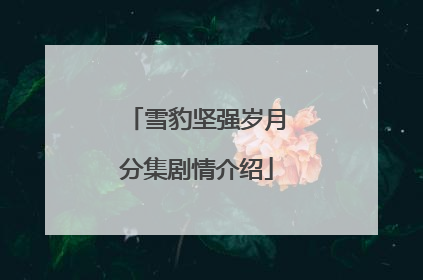 雪豹坚强岁月分集剧情介绍