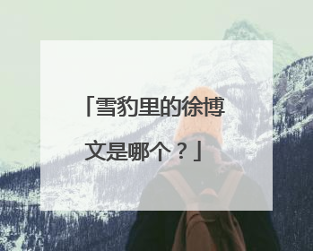 雪豹里的徐博文是哪个？