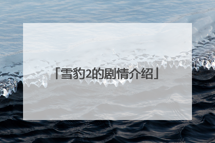 雪豹2的剧情介绍