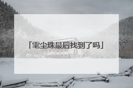 雮尘珠最后找到了吗