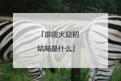 霹雳火夏初结局是什么
