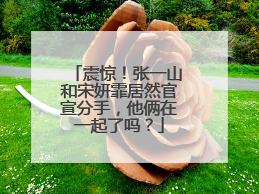 震惊!张一山和宋妍霏居然官宣分手,他俩在一起了吗?