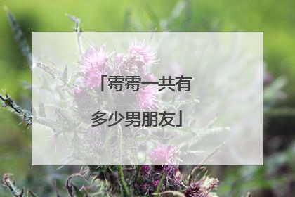 霉霉一共有多少男朋友