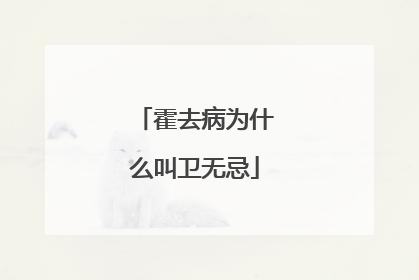 霍去病为什么叫卫无忌