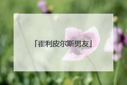 霍利皮尔斯男友