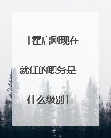 霍启刚现在就任的职务是什么级别