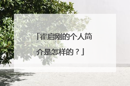 霍启刚的个人简介是怎样的?