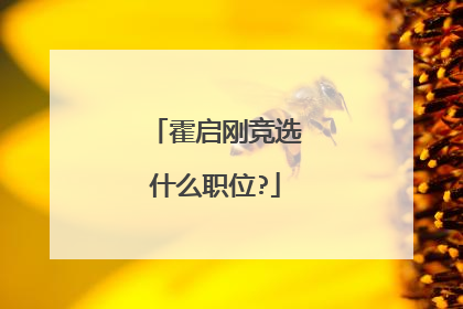 霍启刚竞选什么职位?