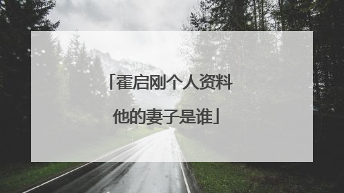 霍启刚个人资料 他的妻子是谁