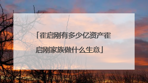 霍启刚有多少亿资产霍启刚家族做什么生意