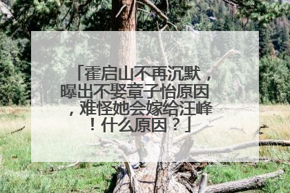 霍启山不再沉默,曝出不娶章子怡原因,难怪她会嫁给汪峰!什么原因?