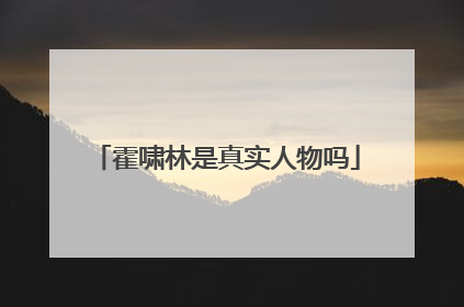 霍啸林是真实人物吗