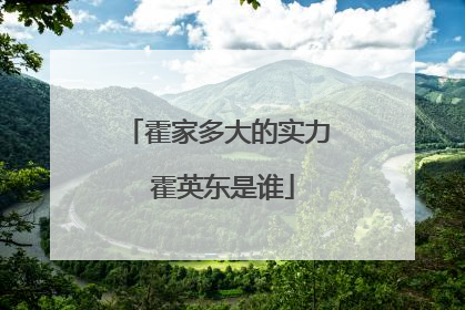 霍家多大的实力 霍英东是谁