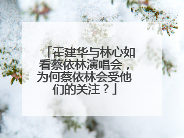 霍建华与林心如看蔡依林演唱会，为何蔡依林会受他们的关注？