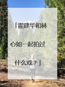 霍建华和林心如一起拍过什么戏?