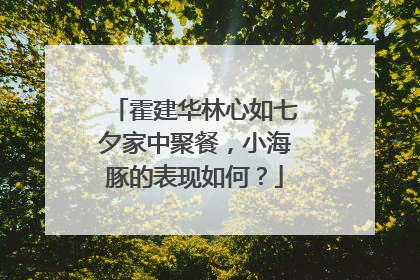 霍建华林心如七夕家中聚餐，小海豚的表现如何？