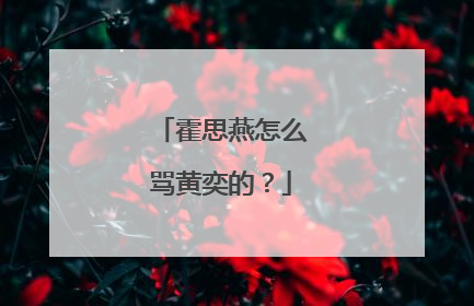 霍思燕怎么骂黄奕的?