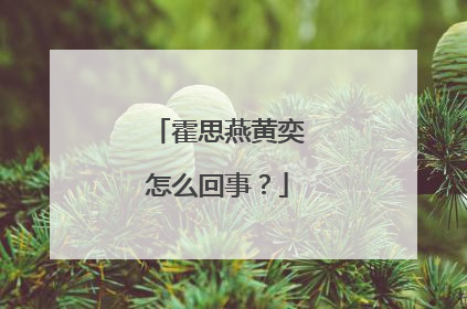 霍思燕黄奕怎么回事?
